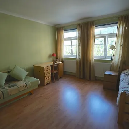 Modern Comfortable